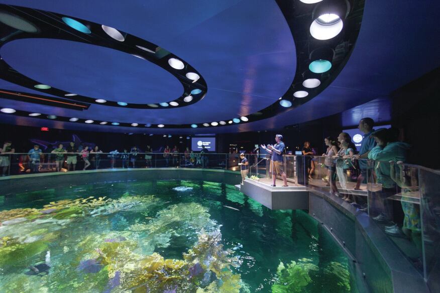 new bedford oceanarium