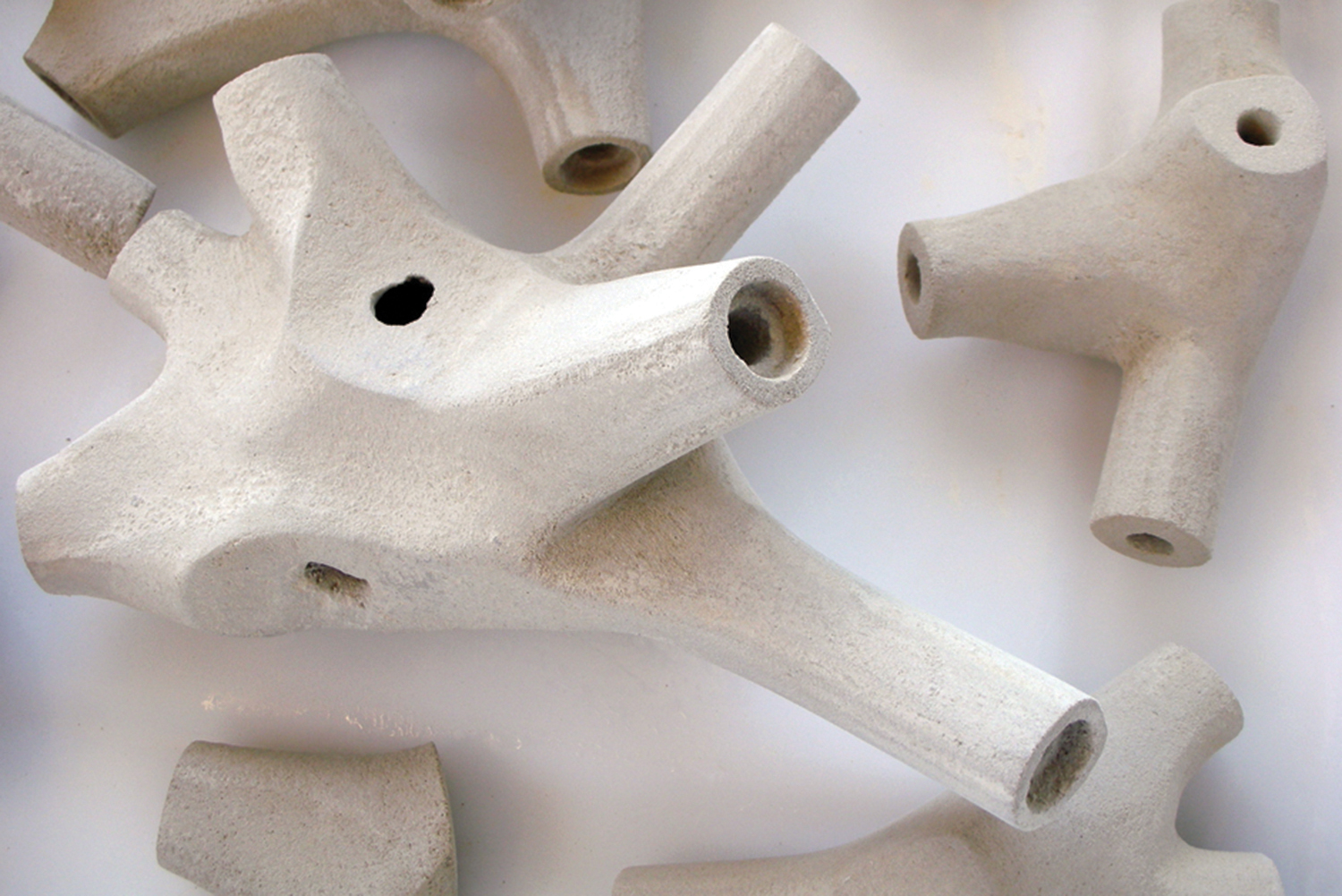 Biology by Design Architect Magazine