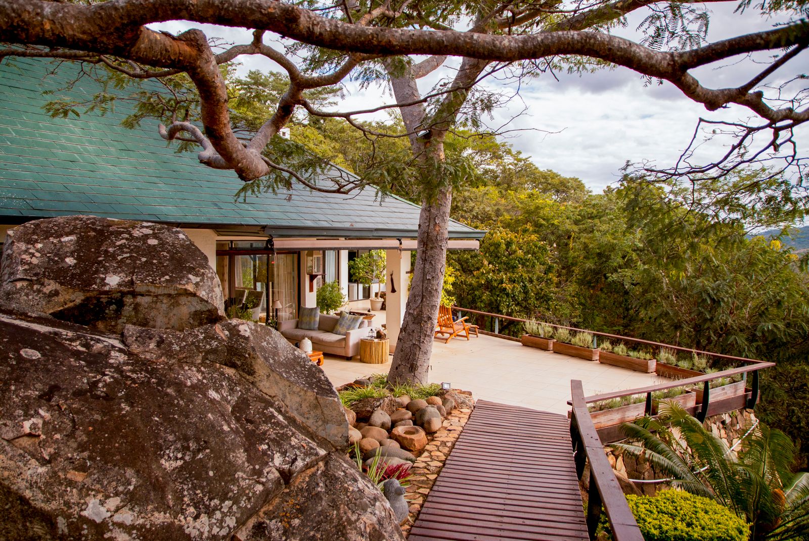 Thetford tree house Architect Magazine