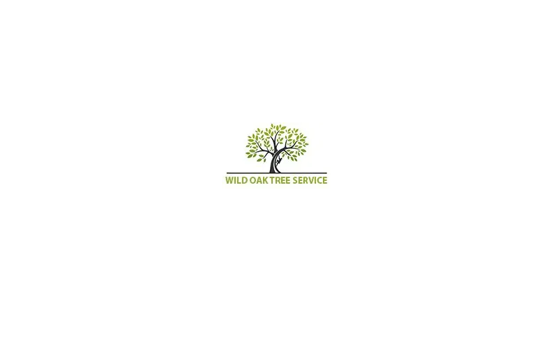 Austin Tree Services Architect Magazine