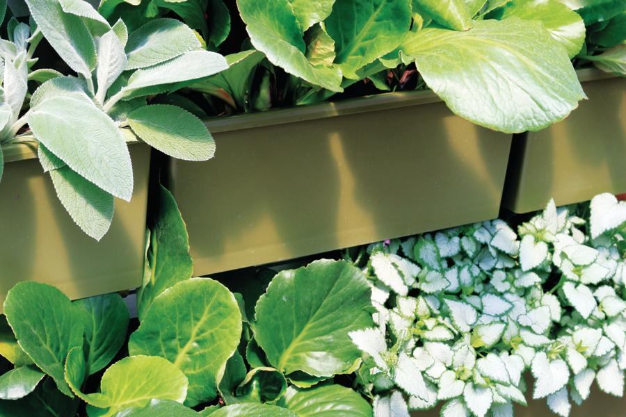 Product: Hortech LiveWall Vertical Planting System | Architect Magazine