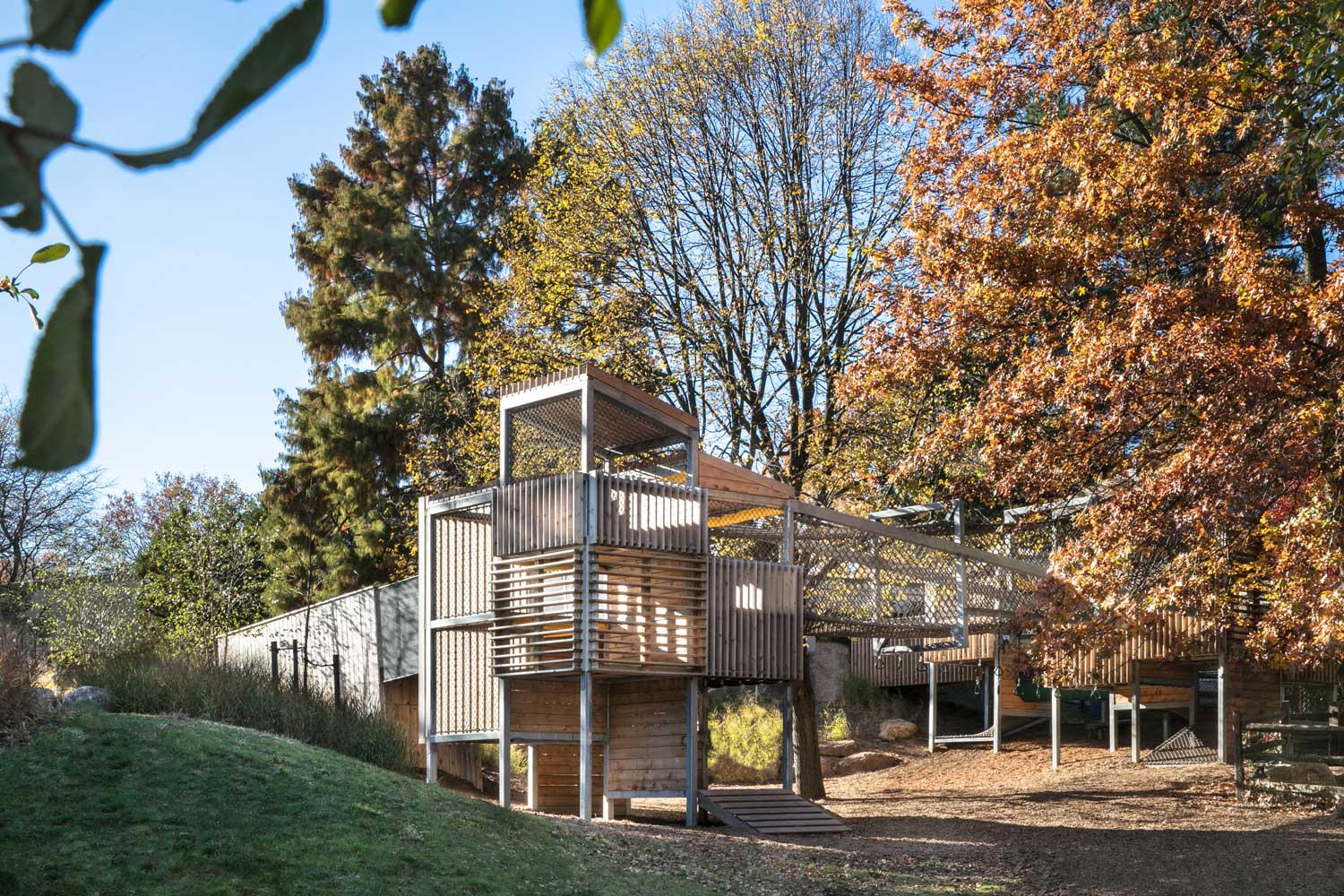 Abington Friends School, Headwaters Discovery Program Architect