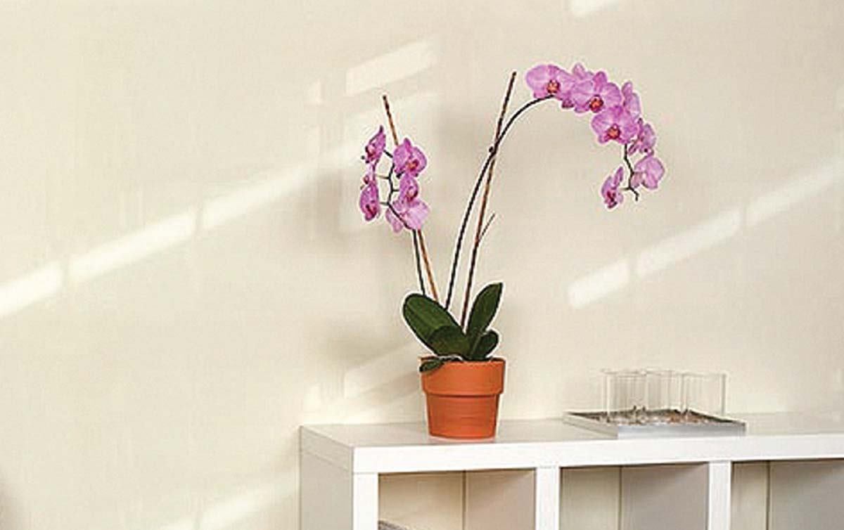 Light vinyl wallcovering from WolfGordon Architect Magazine