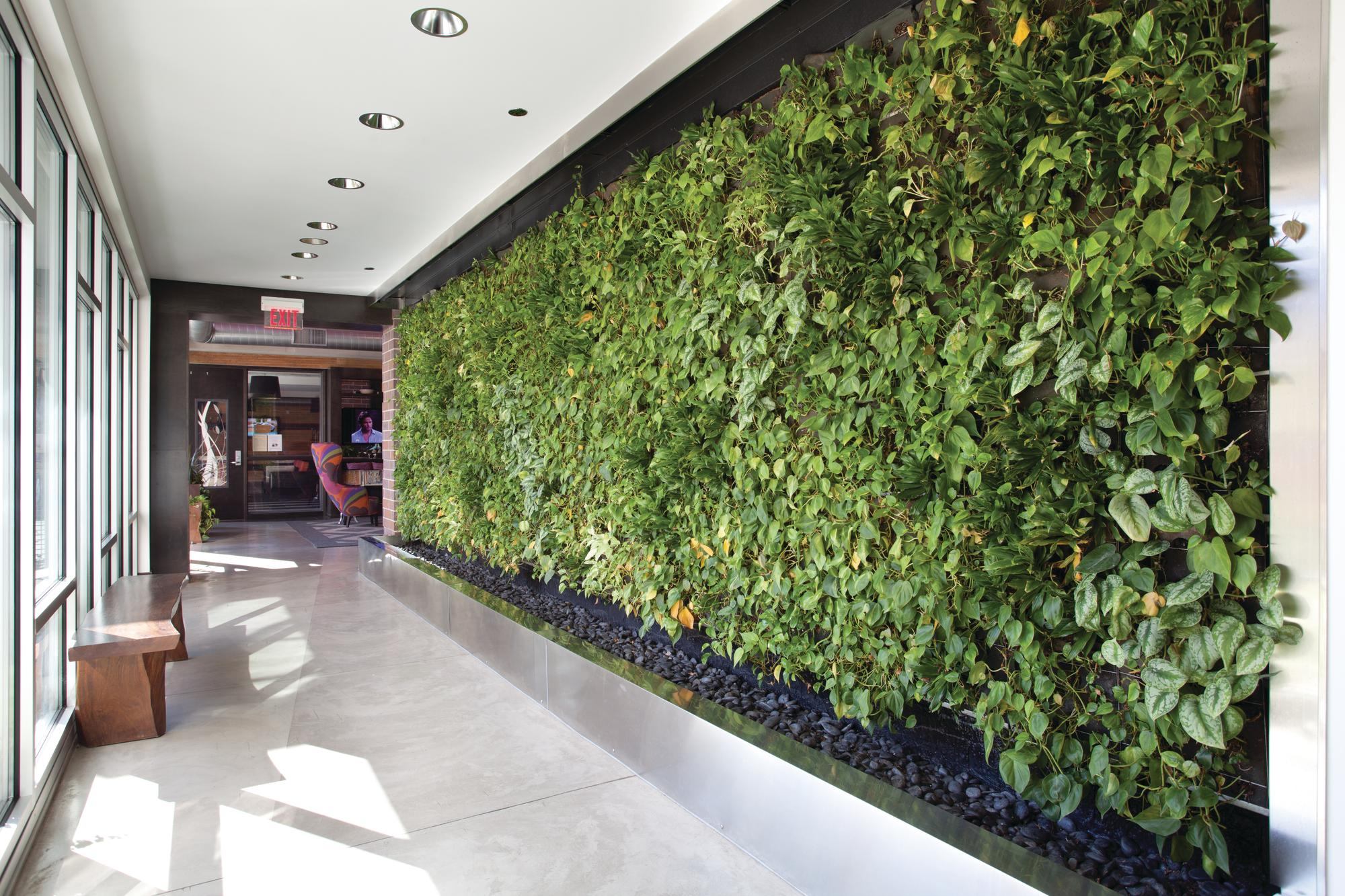 Green Roof and Wall Market Expected to Grow Builder Magazine Green Building