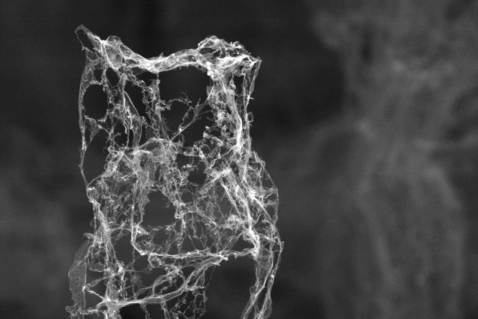 Scientists Produce the Lightest Solid Material Architect Magazine