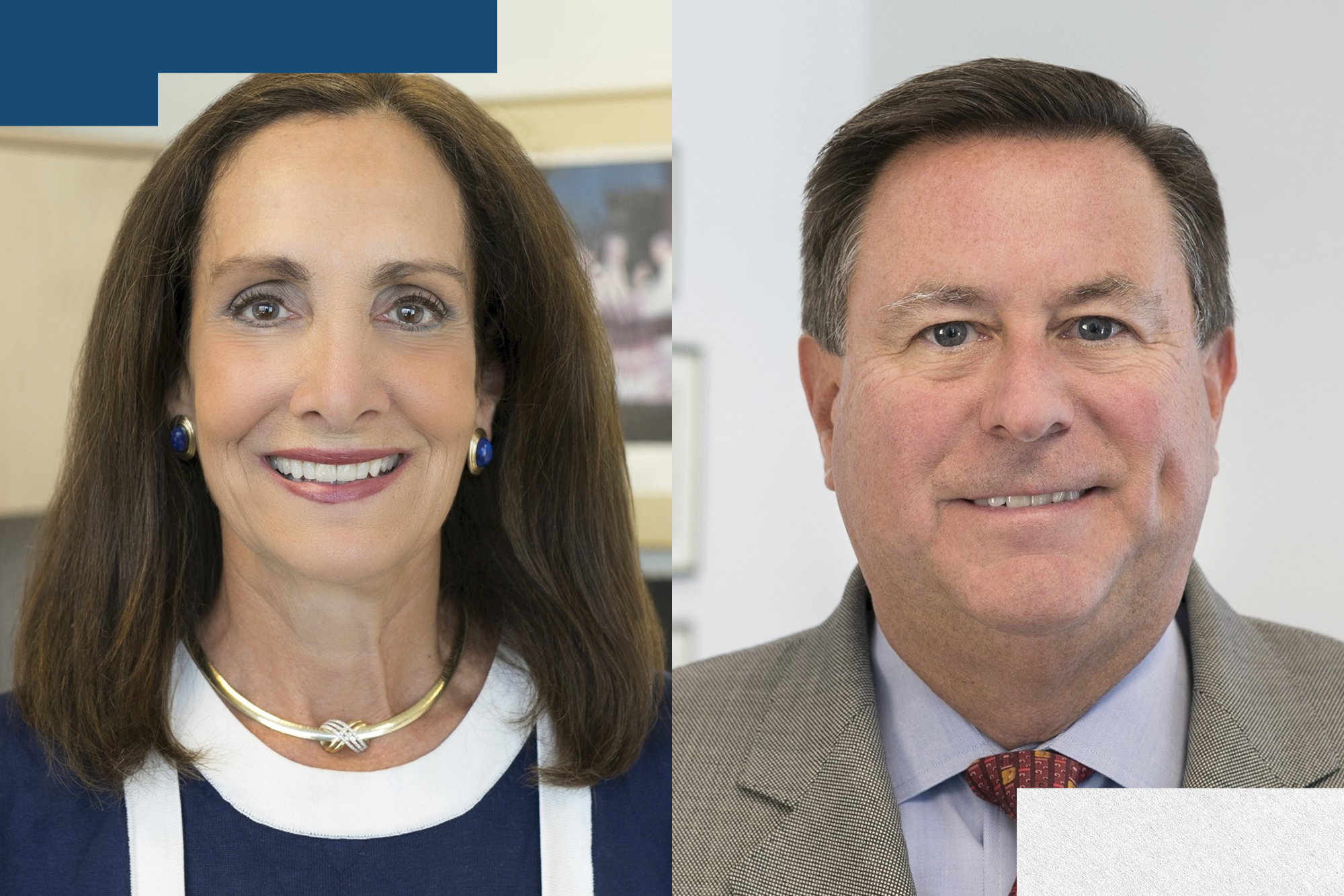Monica Hilton Sussman and Stephen J. Wallace, Nixon Peabody