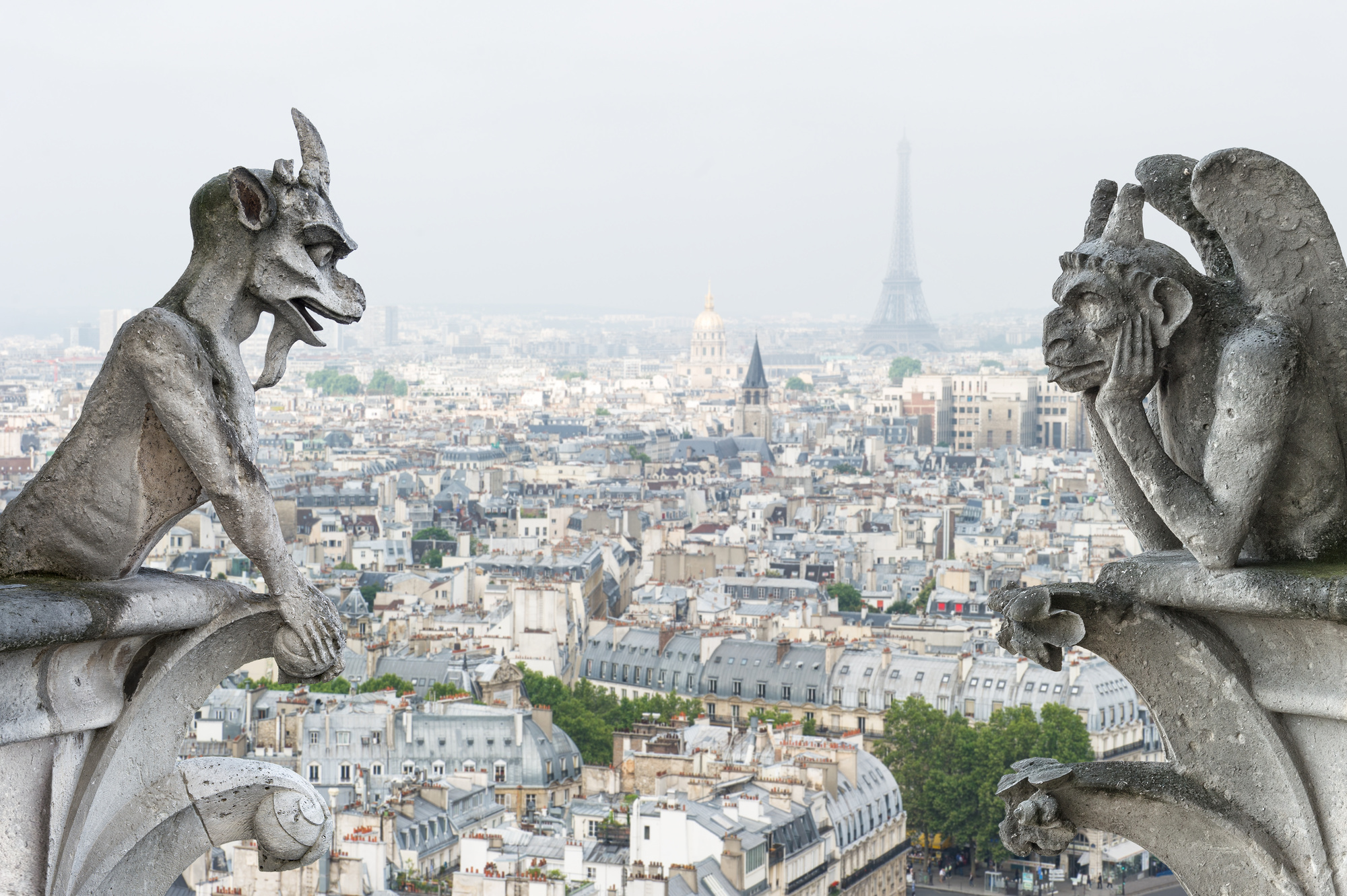 Notre Dame Gargoyles Notre Dame Gargoyles