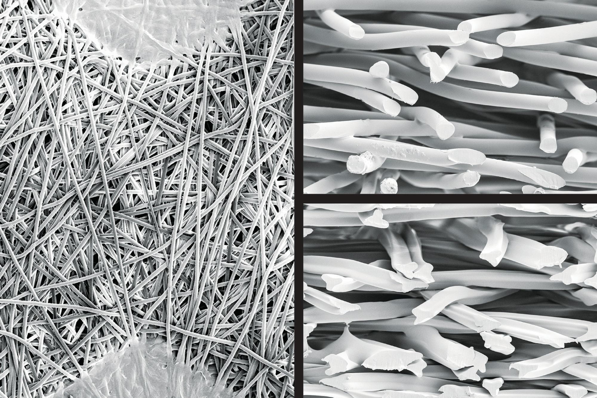 Cartridge Evolution Pool & Spa News