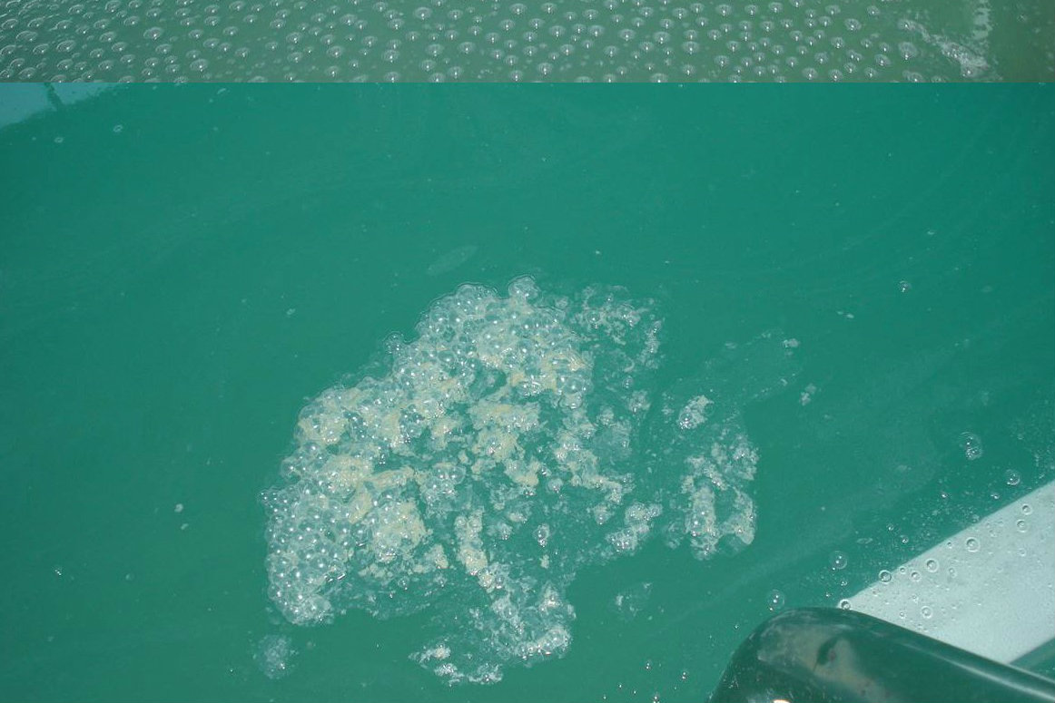 Why Use Enzymes? Pool & Spa News