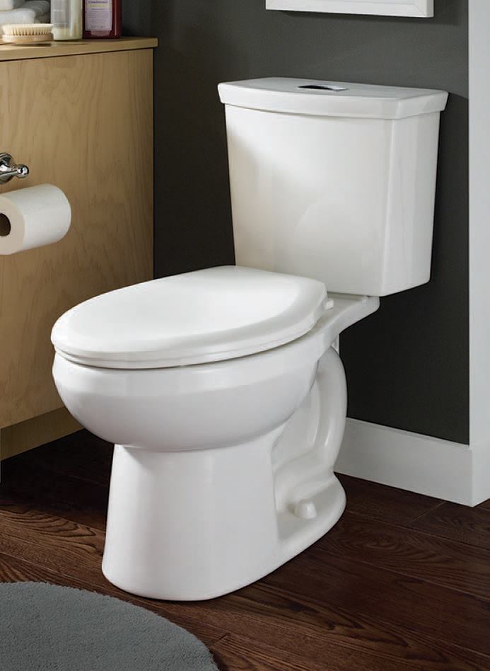 2 flush toilet