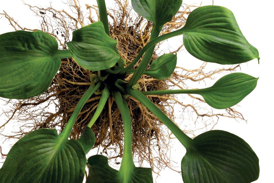 2009 R D Awards Architect Magazine