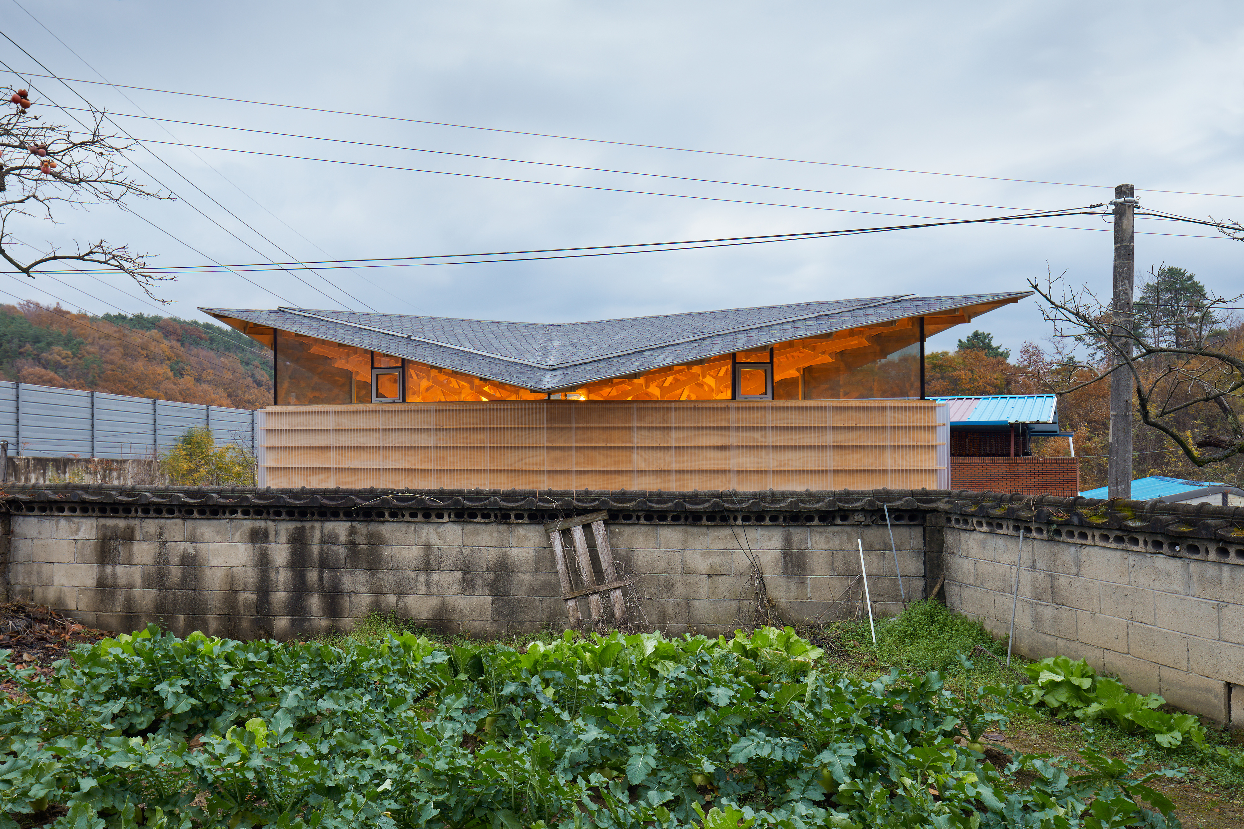 The House of Three Trees Architect Magazine