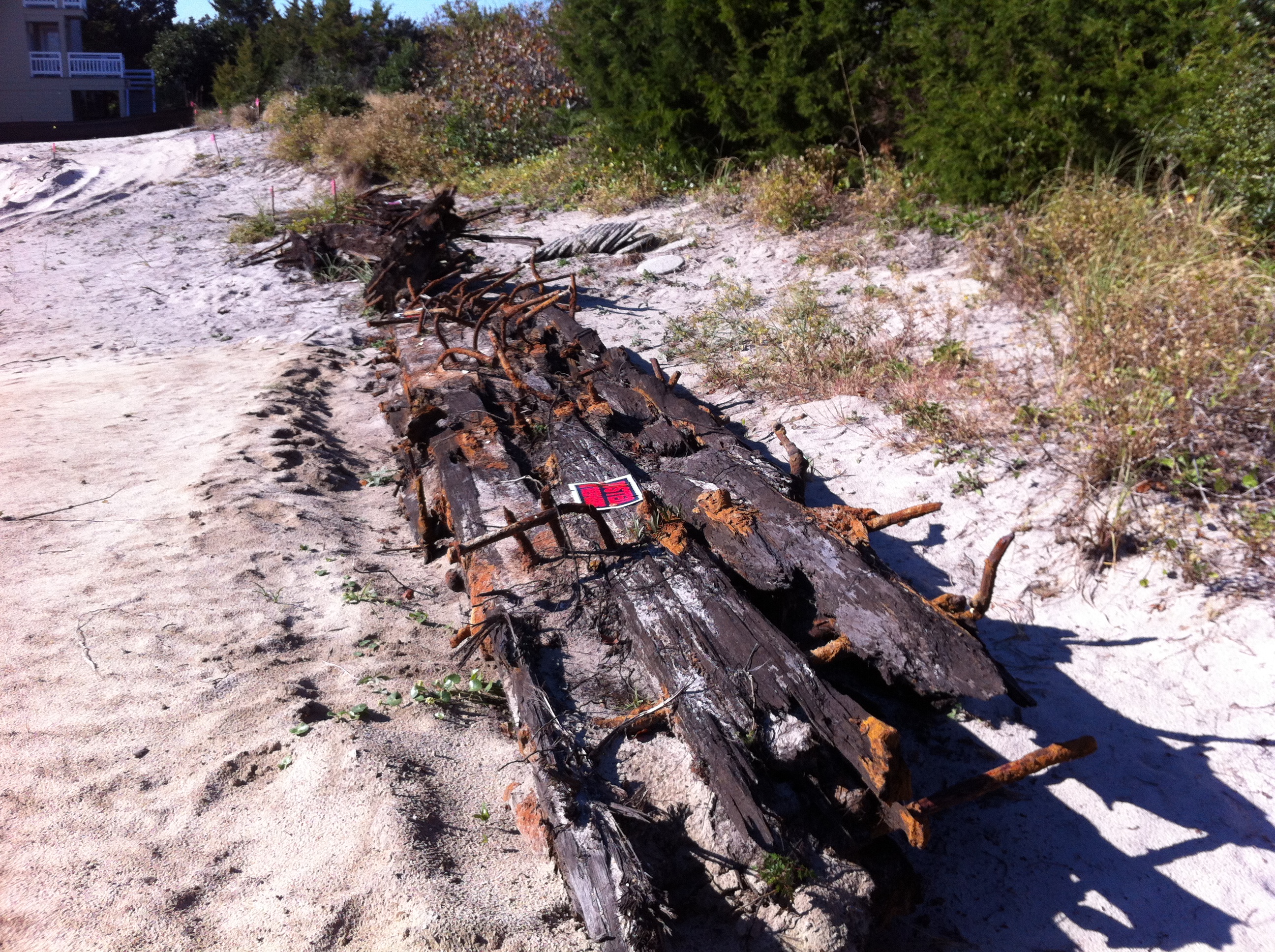 Orlando Listcrawler Unearths A Lost Treasure – Experts Are Stunned! - rs9r7e5