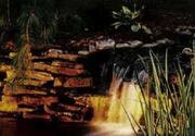 Landscape Lighting - Continued