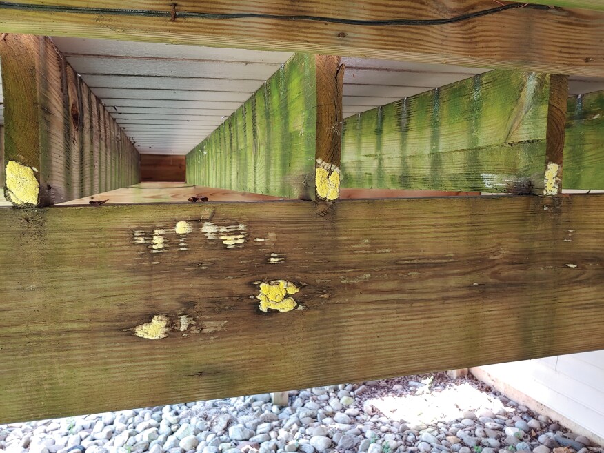 Advanced decay of joists and beam treated to “Above Ground” based on an available treatment tag. The tag did not indicate an AWPA Use Category System.