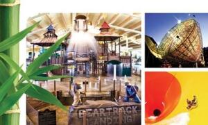 StrategyChanged marketing emphasis to value pricing for staycationers and
customizable, flexible packages to businesses and groupsResultWhile the overall lodging industry
revenue dropped 20 percent, Great Wolf Lodge was down only 6
percent.