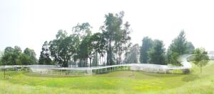Rendering of the proposed "River" building for the Grace Farms Foundation in New Canaan, Conn.