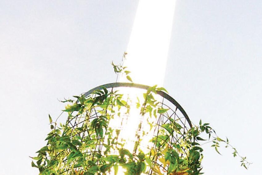 Greenscreen ColumnLight
