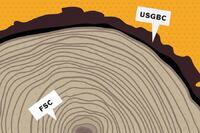 The Dispute Over Sustainable Wood