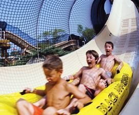 No.9 Noah's Ark| Aquatics International Magazine