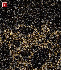 Sulfur compound concentrations shown as orange dots in the photo are concentrated more heavily below the top1/8-in. layer of concrete. Their pH is much lower than potassium compounds.