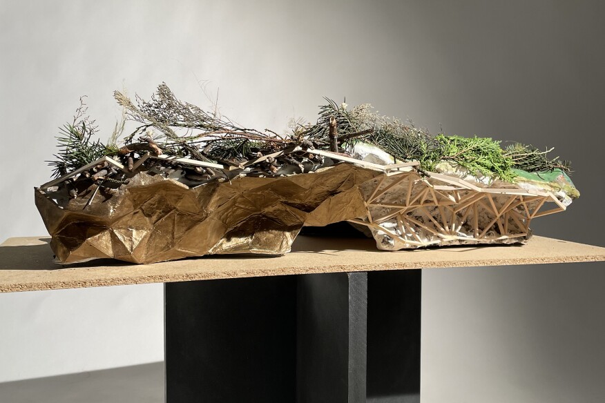 “Restoring the Potomac: Reclamation,” by Chayarei Marie Baldonado and Louis Conte.