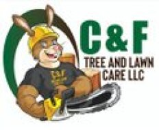 Tulsa Tree Experts Logo