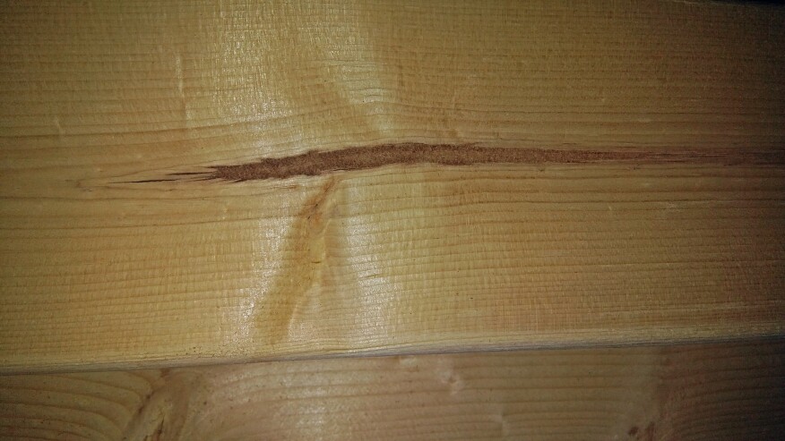 When selecting boards at a lumberyard, avoid selecting boards with pith, like the one shown here. Studies suggest that lumber without pith is stiffer and less likely to deform in service conditions.