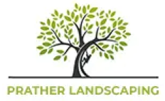 Lexington Tree Experts Logo