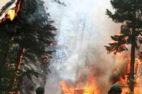 Facing Fire