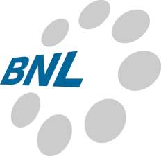 BNL (USA), Inc. Logo