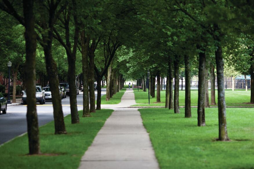 Harbor Point's central tree-lined mall is modeled on Boston’s Commonwealth Avenue.