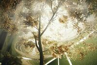 Lighting the Lowline