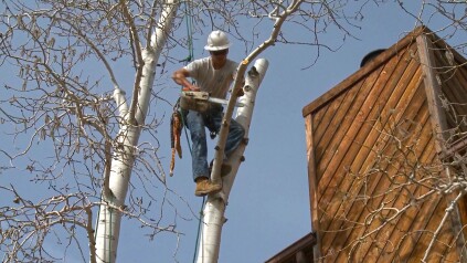 New housing developments in the Colorado Springs wildland-urban interface (WUI) zone must feature “defensible space”—with sparse, pruned vegetation—to prevent the rapid spread of fire.