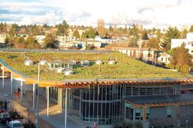 Extensive garden roof from American Hydrotech