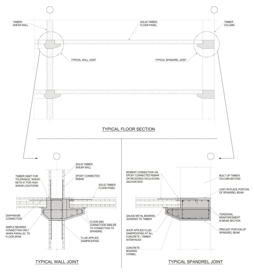 The floor structure of the tower is 8-inch-thick mass-timber floor plan, wchich spans between mass-timber shear walls at the building interior and mass-timber columns at the building perimeter.