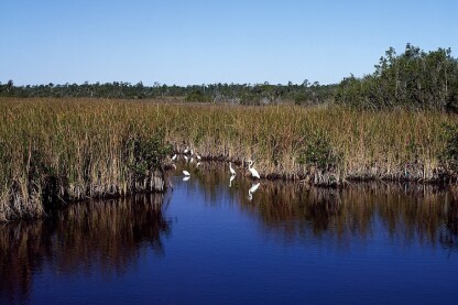 New EPA rules designed to protect America's waterways might make it more difficult for home builders to obtain permits.