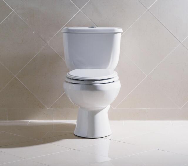 Briggs Conserver Dual-Flush Toilet