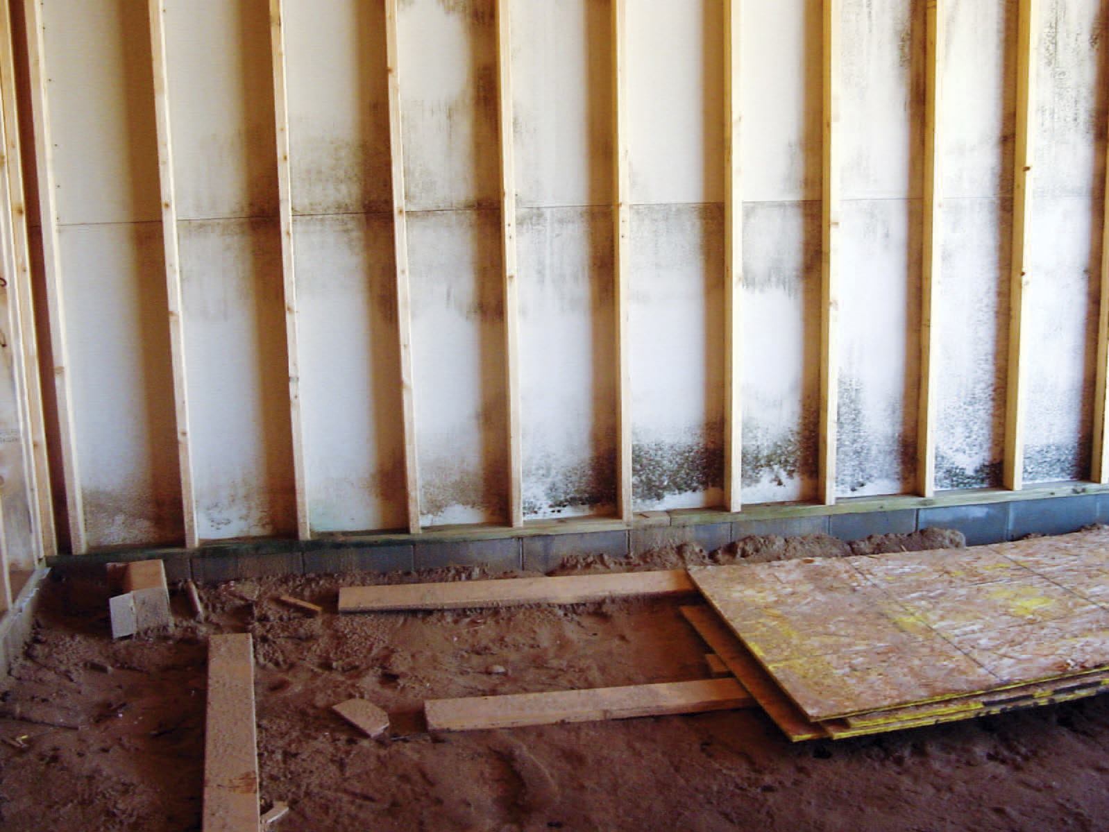 Can Mold Give You Headaches? JLC Online